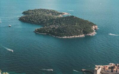 Les îles Malouines : là où les manchots remplacent les touristes